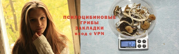 дурь Алексеевка