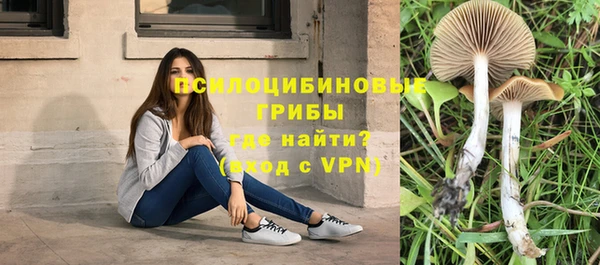 дурь Алексеевка