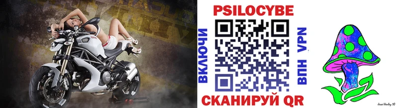 это официальный сайт  Фёдоровский  Псилоцибиновые грибы прущие грибы 
